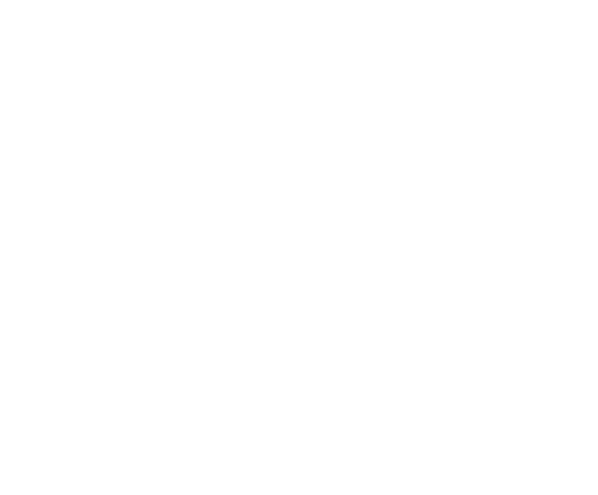 NOA AI